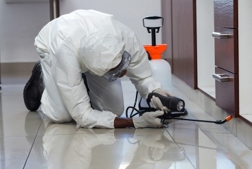 Reason Why Commercial Pest Control Is a Must For Your Workplace