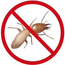 Anti Termite Treatment