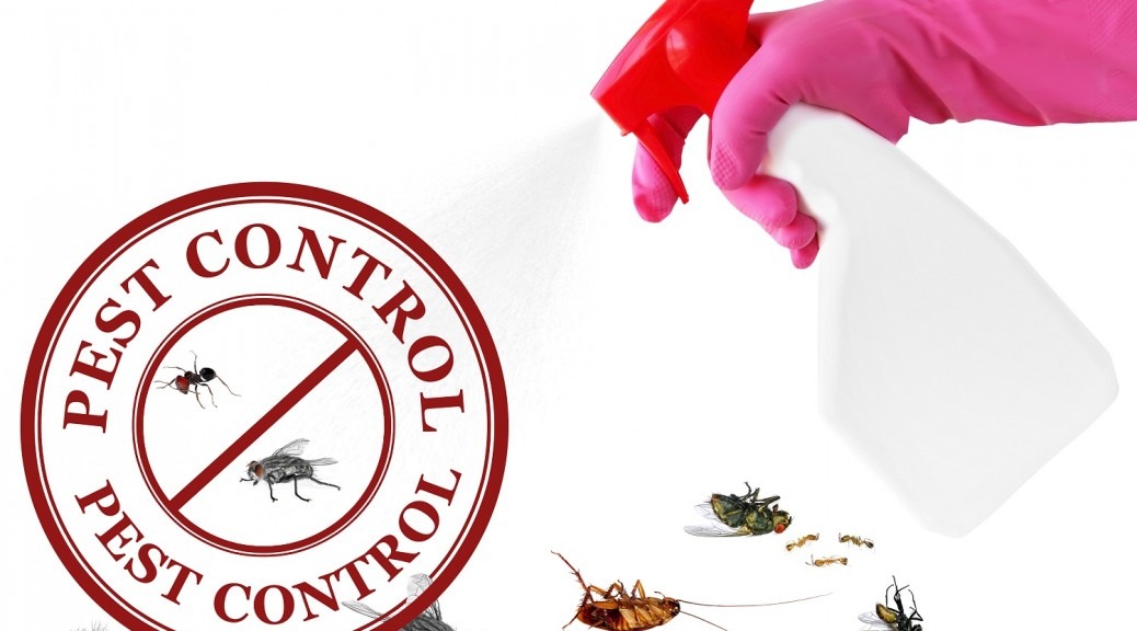 Pest Control Service