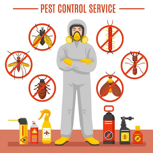 Melbourne Pest Control: Everything About Controlling Pests