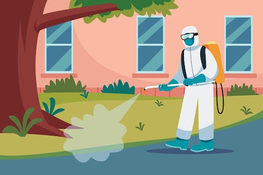 Battling the Silent Destroyers: Effective Termite Treatment in Melbourne