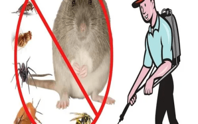 Rat Control Challenges in Melbourne’s Urban Environment