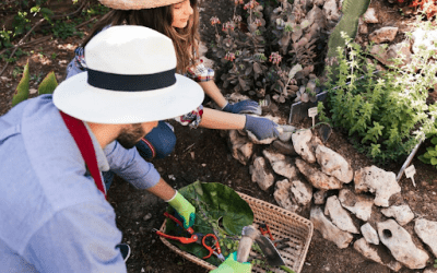 Tips for Maintaining a Rodent-Free Garden in Melbourne